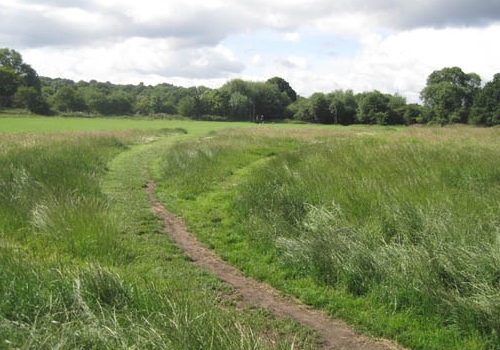 Hampstead Heath_credit Dudley Miles