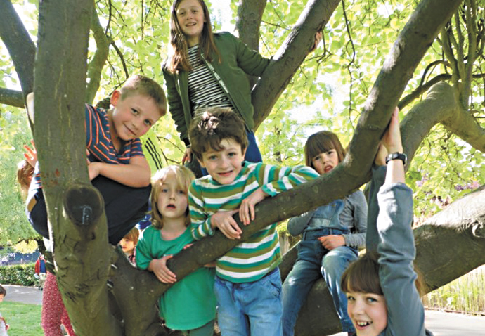 Tree toppers! Pupils rise to cash challenge Ambler-abseil