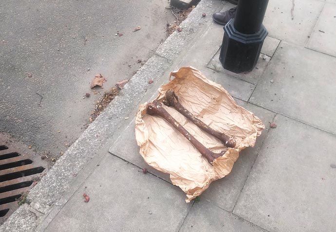 Bones found in street ‘appear to be human’ Bones_credit baddogdown on Flickr