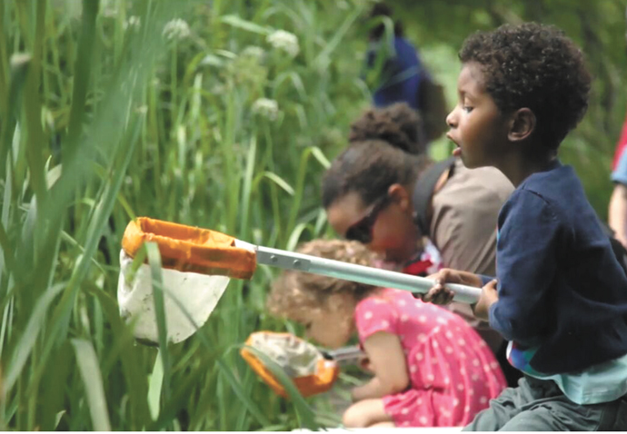 Action stations! Camley Street Pond dipping
