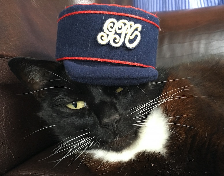 Cats will revive tradition at new-look Postal Museum Postal cat Charlie