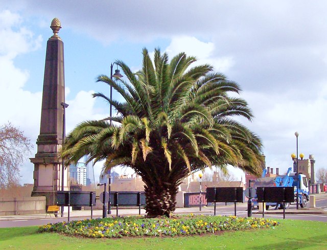 Cyclists slam council chiefs over palm tree death junction palmtree