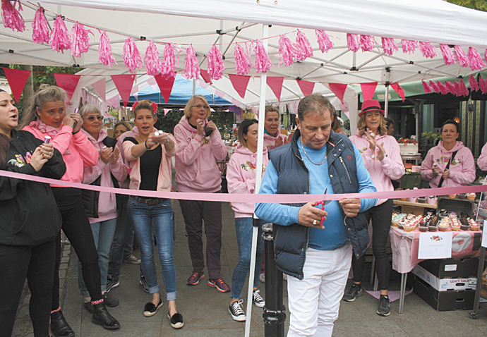 Paint Highbury Pink 1