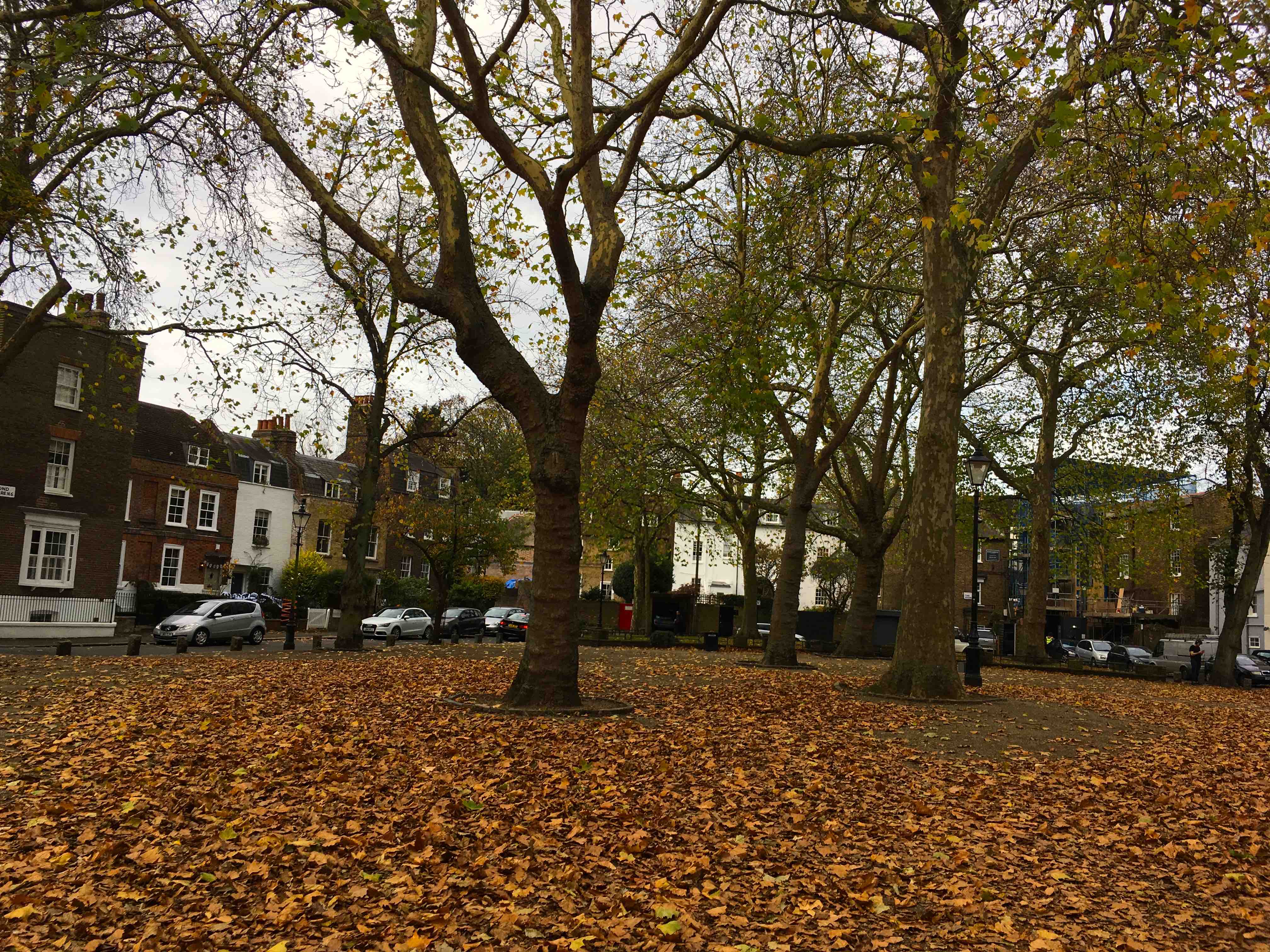 Highgate Society joins opposition to new village parking fees