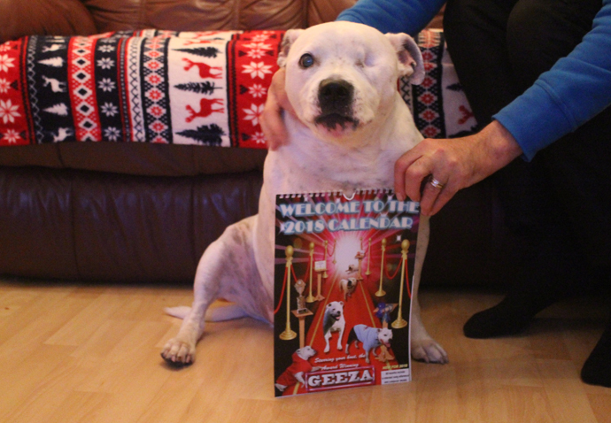 Our Neighbours_Geeza the dog