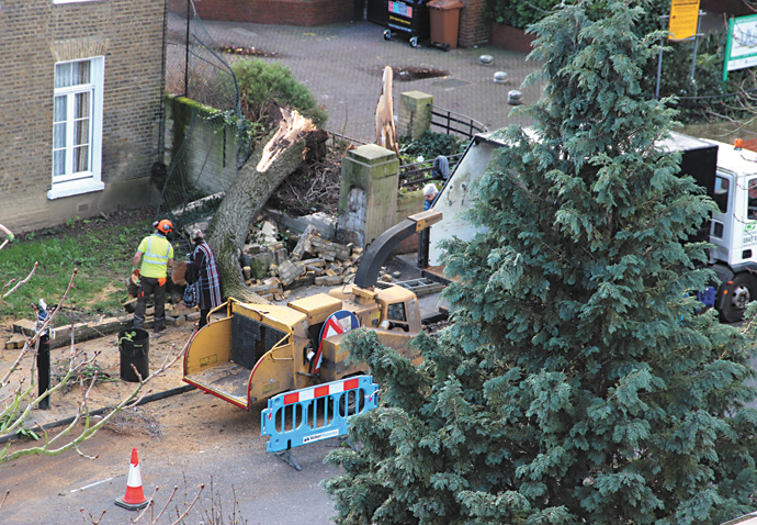 Tufnell Park Road closed after tree falls in storm Tree damage in Tufnell Park