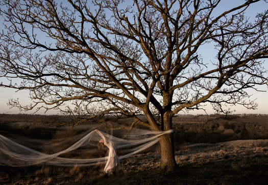 Make a date for the Victoria and Albert Museum on June 17 Dexter Gordon_Fried Bananas_Sleeve_AW