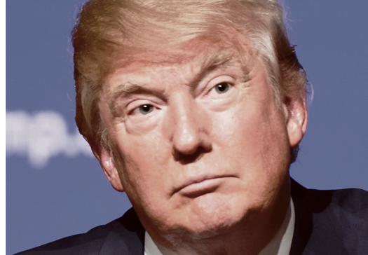 Join the Palestine Solidarity Campaign d trump