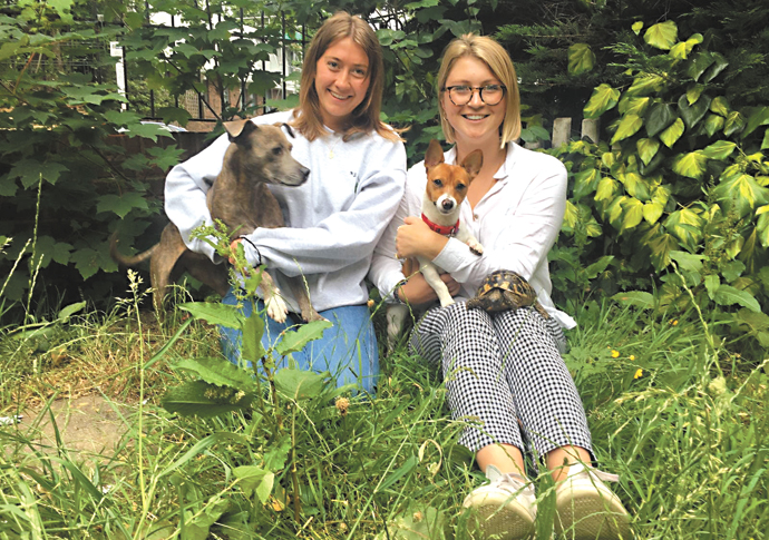Tortoise Shelley makes it across Essex Road in bid for freedom Tortoise Shelley with Milly Wilson and Florence Jackson