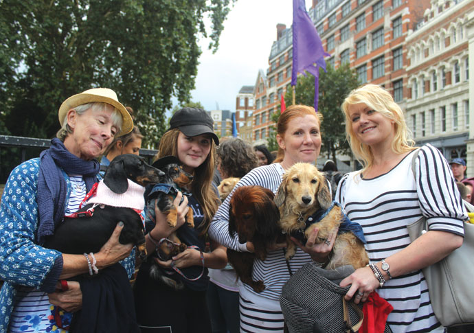 Smithfield shows off sausages – knotting and dogs! Smithfield sausage dogs