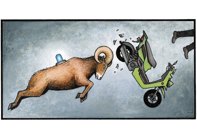 john sadler ram cartoon