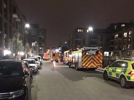 Unconscious cat resuscitated by firefighters packingtonsquarefore