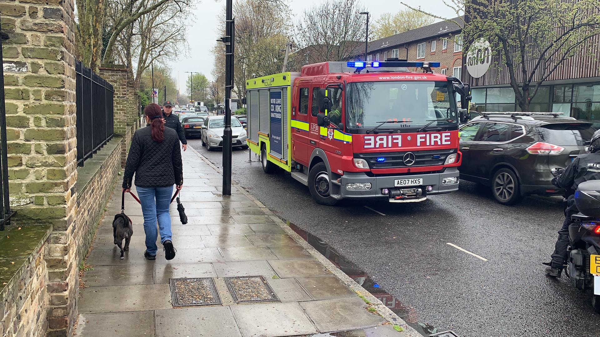 Police attend man up a tree in Highbury for four hours CBB5CF5A-523B-4938-A9B4-6A2A7319948D