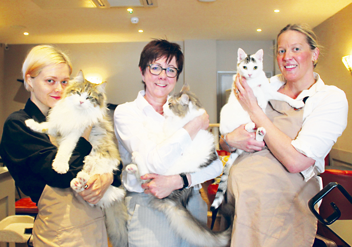 How Archway cafe’s own purrrrlice force tried to stop burglars Whiskers And Cream IMG_1100