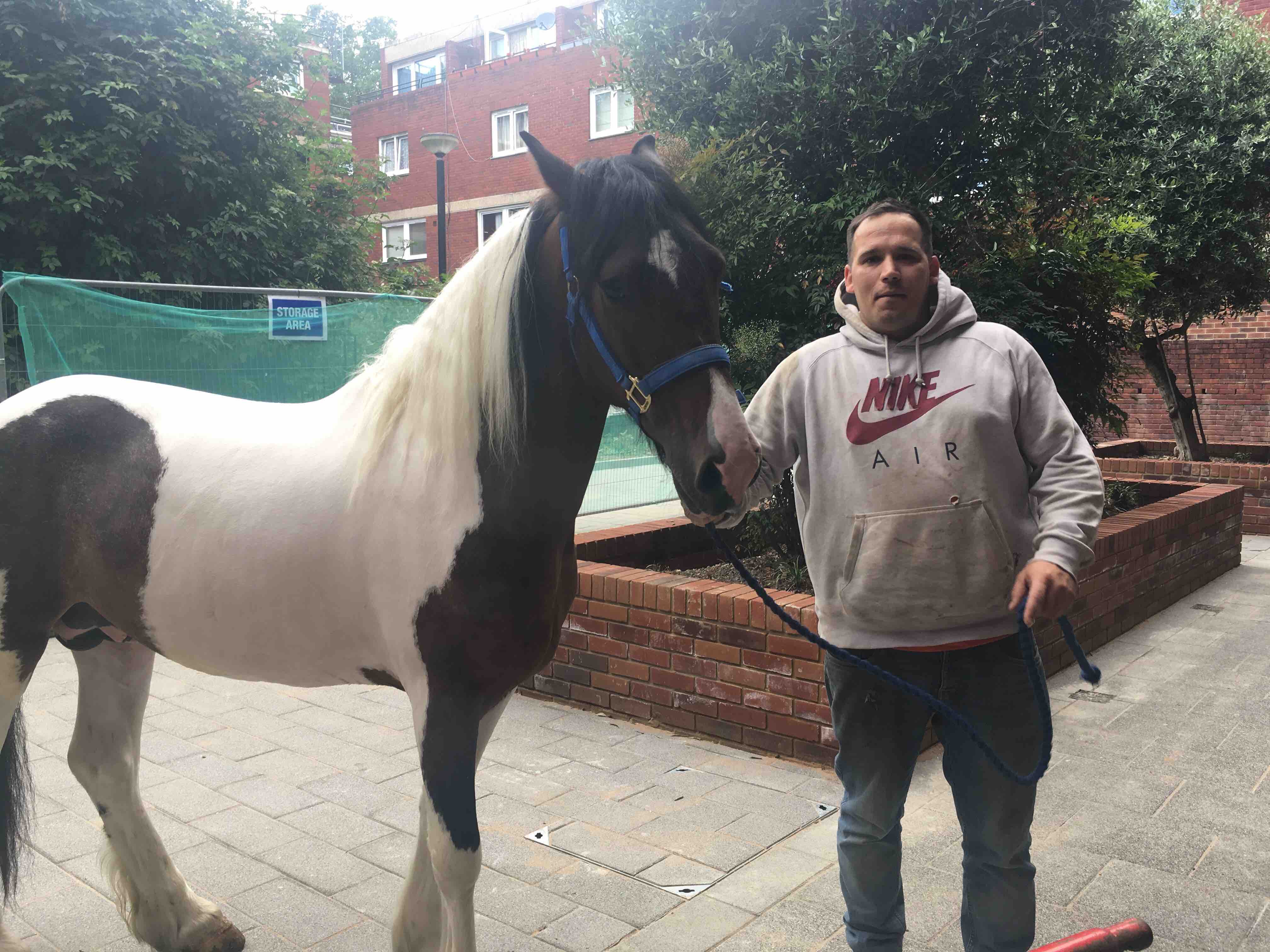 Scaffolder “fed up with the congestion charge” comes to work on a horse Old Street Horse