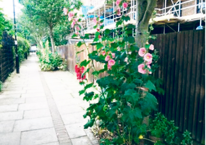 Calls to weed out chemical spray used in Islington Glyphosate 2