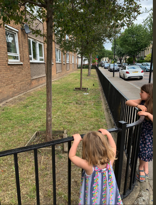 Islington Town Hall faces calls to ban ‘cancer link’ weedkiller Screen Shot 2019-07-04 at 18.18.15
