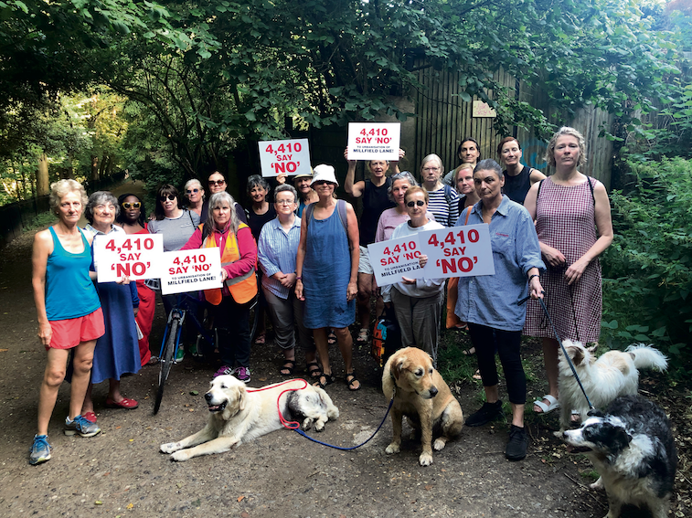 The ladies’ pond is under attack again – protect the whole area ...