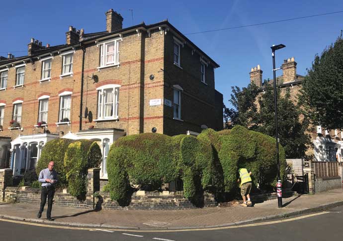 Elephant Ambler Road resident Dave left and builder going in head first