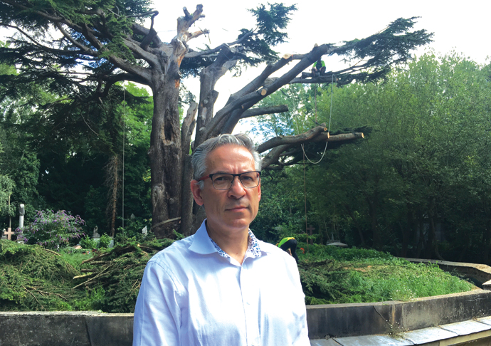 Dead wood – cemetery tree is felled Ian Dungavell
