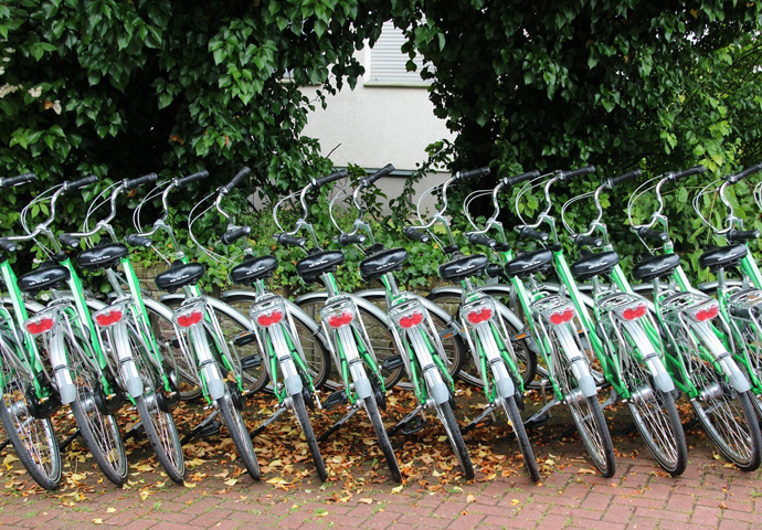 Disrupters in the transport industry Bikes