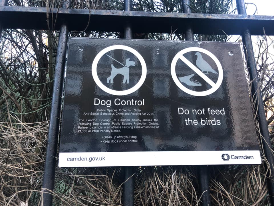 Bye-law to stop bird-feeding in parks 81448756_2704550726287852_5857312412138471424_nno bird feedijng