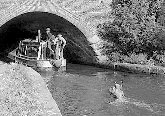 Dan Carrier’s movies news: The Monster of Highgate Ponds Monster