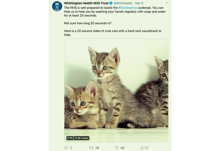 Coronavirus: Stay at home and ring 111 Coronavirus cats