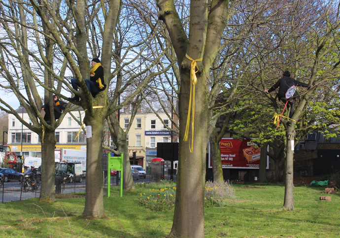 Trees are a ‘major contribution to the capture and storage of CO2’ Highbury Corner trees IMG_4713