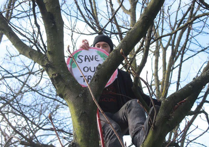 We should thank the tree protesters Highbury Corner trees IMG_4754