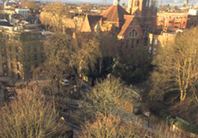 It’s 2020 – the ‘Year of the tree’ Howarth letter_trees