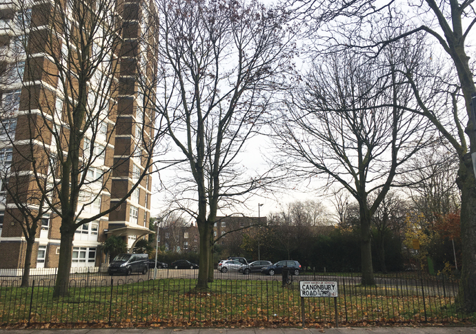 Trees to be sacrificed for a vanity housing project Trees at Dixon Clark Court