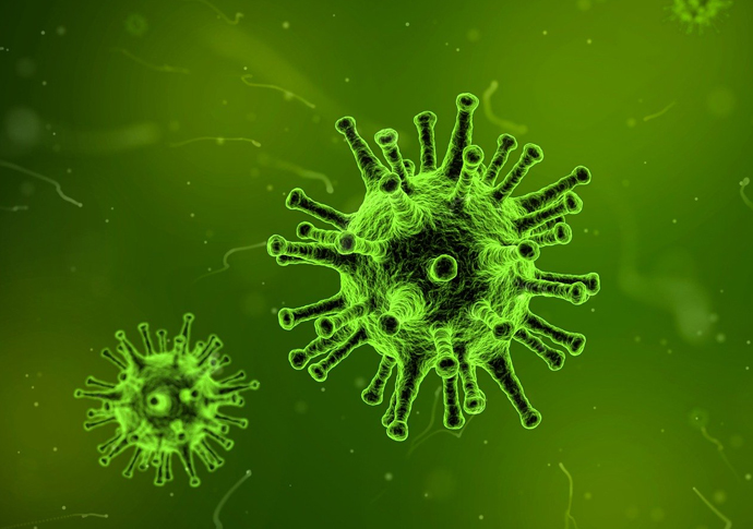 Virus