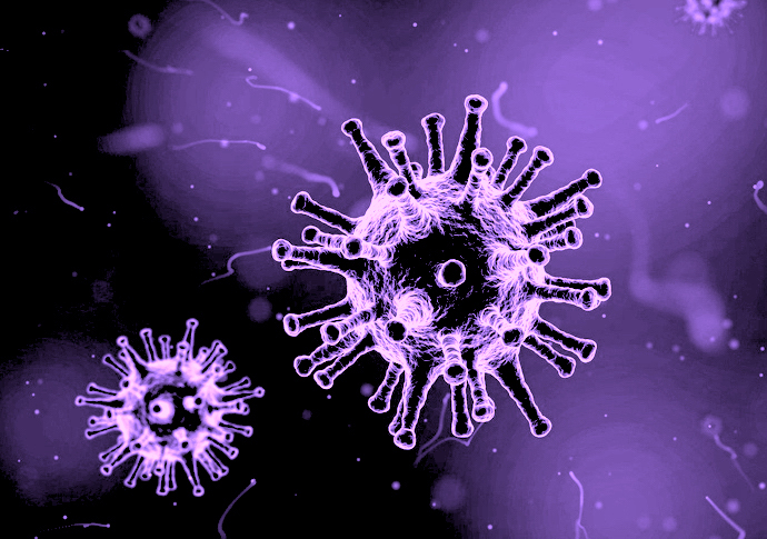virus purple
