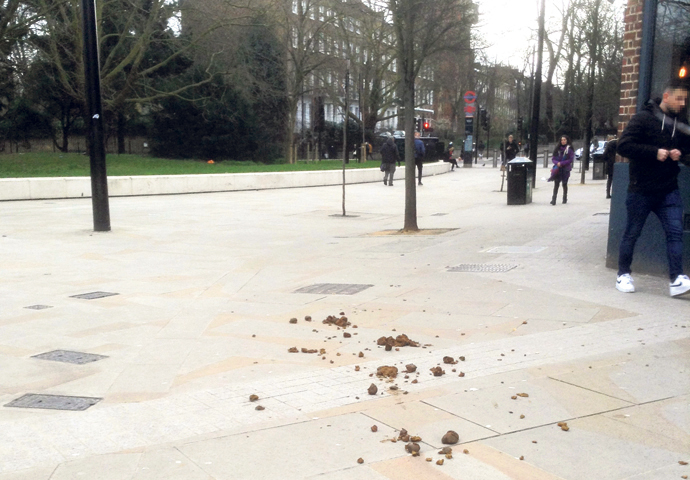 Hewitt letter_dog fouling