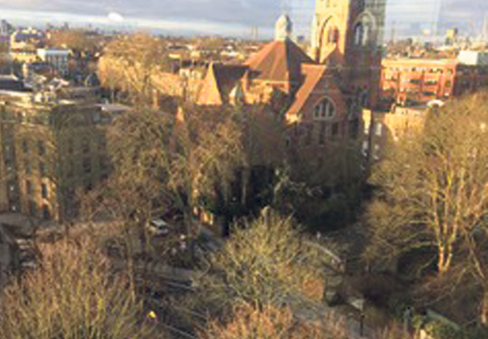 Dixon Clark Court trees