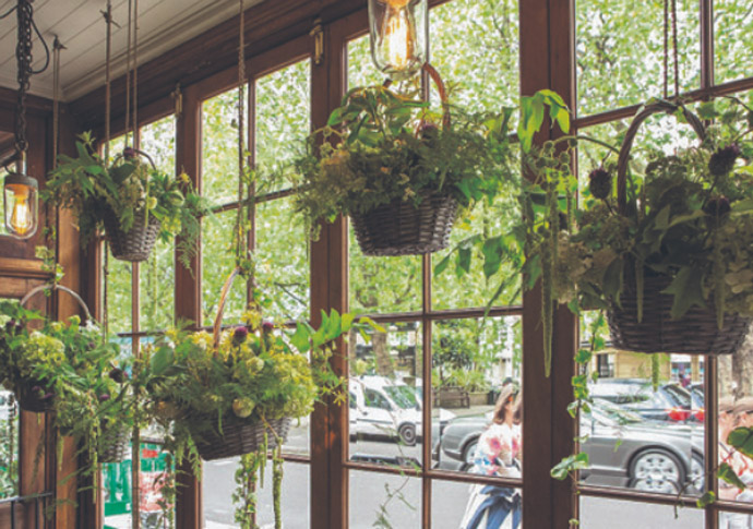 Islington in Bloom goes online Orange pub bloom