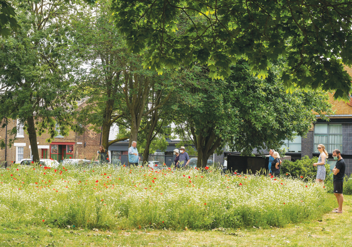 Whittington Park Meadow