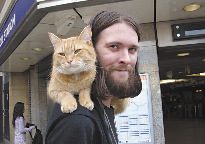 First a book, then a film – now Bob gets a statue James Bowen_Bob the cat_854831