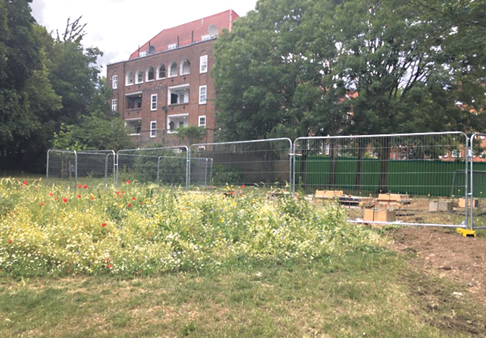 We want this important wildlife area back Whittington Park_wildflower area after