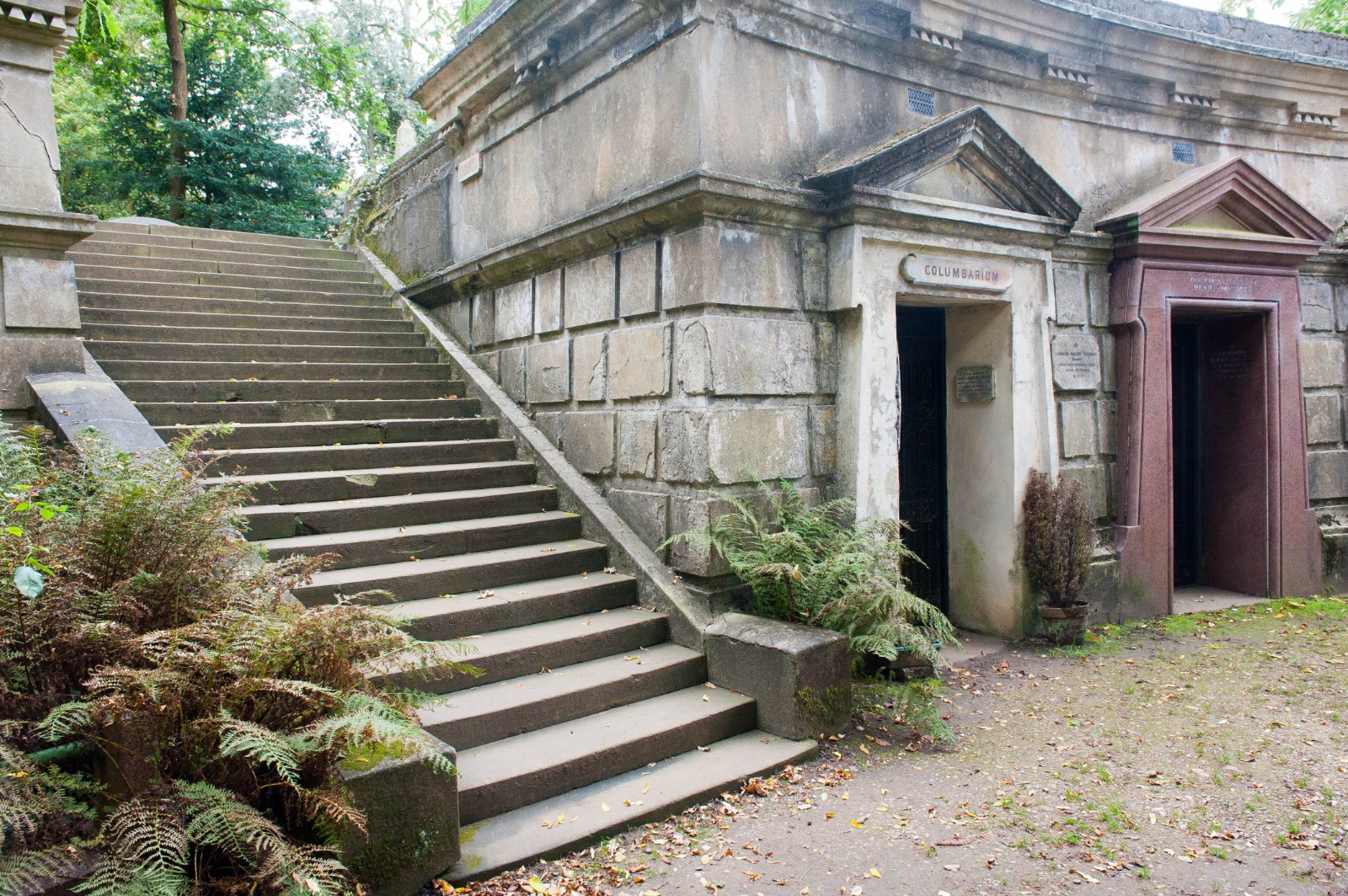 Highgate Cemetery to drop toursonly rule for visitors to historic west