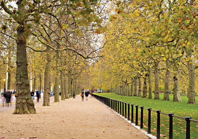 The Mall - The Royal Parks