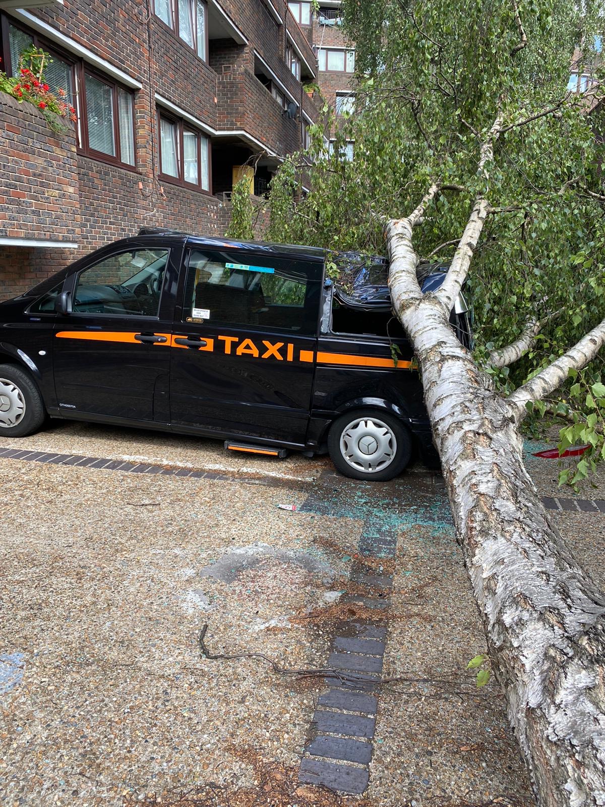 Taxi hit by tree during high winds Islington Tribune