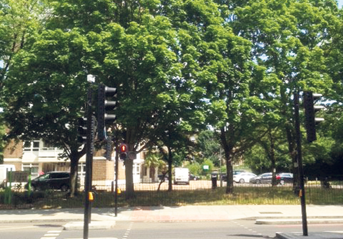 Building on green spaces is not the way to solve the housing problem Dixon Clark Court trees