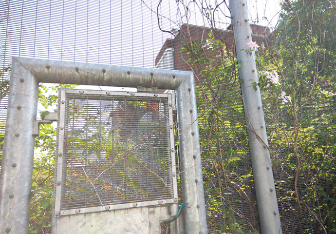 Join the debate about the Holloway Prison site’s future Holloway prison site for women's building