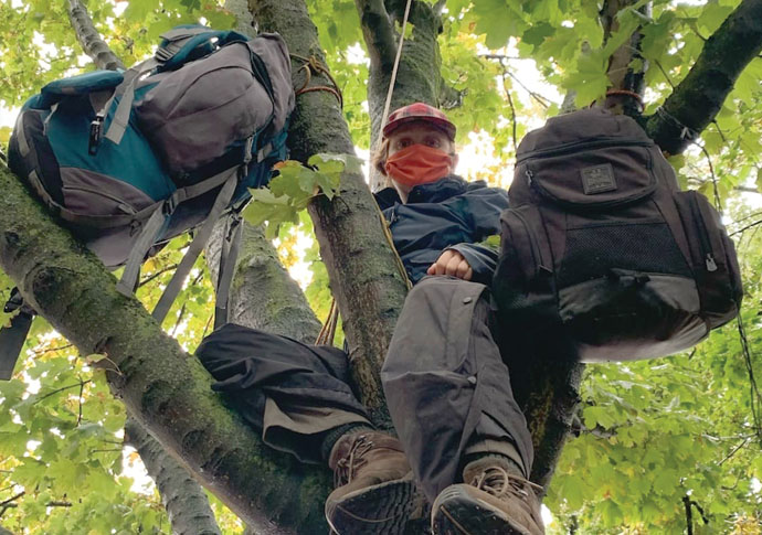 Campaigners sleep in Highbury trees facing the chop Dixon Clark Court tree protester