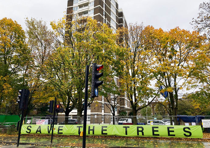 Town Hall leader slams ‘nimby’ tree activists Dixon Clark Court trees