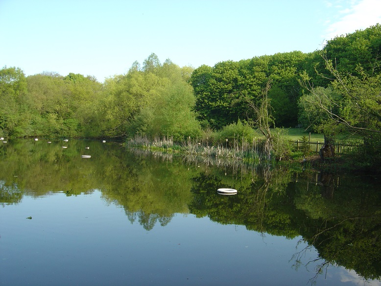 What is the sewage that has shut down Hampstead Heath's Ladies Pond