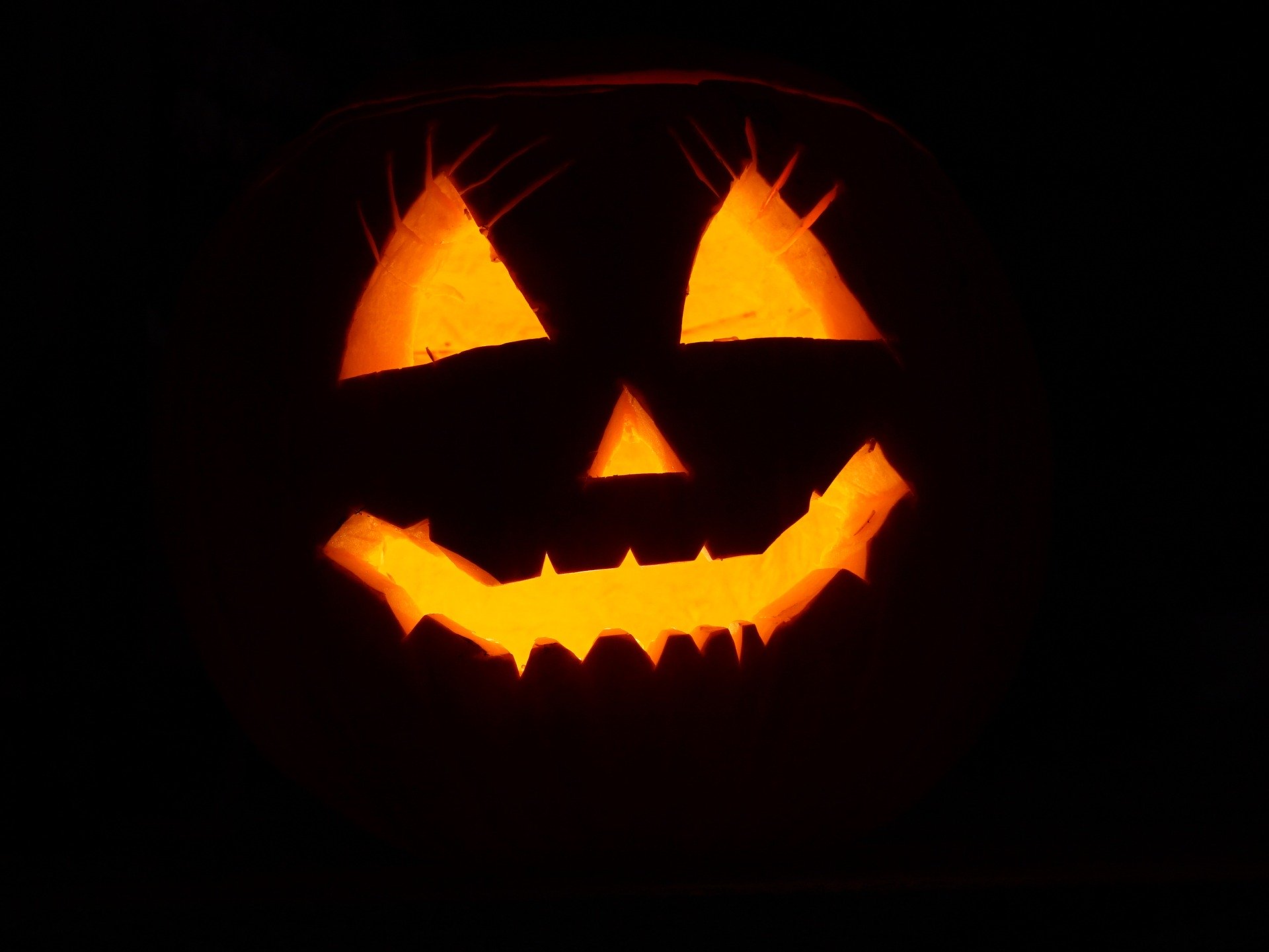 halloween pumpkin-2892303_1920