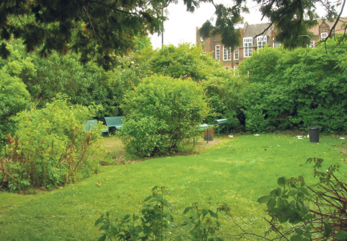 The council leader continues his attack on those defending the ‘little forest’ Dixon Clark Court garden 1